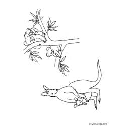 Página para colorir: coala (animais) #9473 - Páginas para Colorir Imprimíveis Gratuitamente