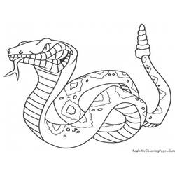 Página para colorir: Cobra (animais) #14342 - Páginas para Colorir Imprimíveis Gratuitamente