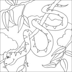 Página para colorir: Cobra (animais) #14405 - Páginas para Colorir Imprimíveis Gratuitamente