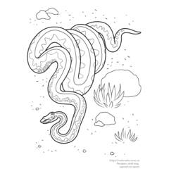 Página para colorir: Cobra (animais) #14529 - Páginas para Colorir Imprimíveis Gratuitamente