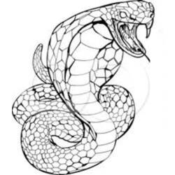 Página para colorir: cobra (animais) #3220 - Páginas para Colorir Imprimíveis Gratuitamente