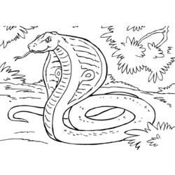 Página para colorir: cobra (animais) #3308 - Páginas para Colorir Imprimíveis Gratuitamente