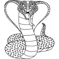 Desenho Cobra (Animais) #212667 para imprimir e colorir