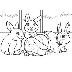 Desenho Coelho (Animais) #177171 para imprimir e colorir