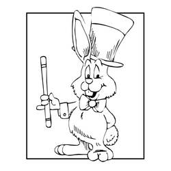 Desenho Coelho (Animais) #177192 para imprimir e colorir