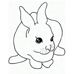 Desenho Coelho (Animais) #177194 para imprimir e colorir
