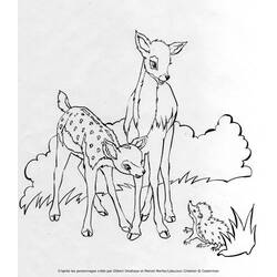 Página para colorir: Corça (animais) #1155 - Páginas para Colorir Imprimíveis Gratuitamente