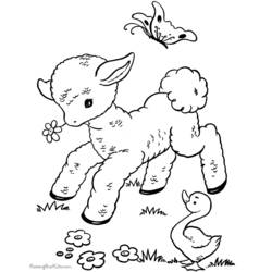 Página para colorir: Cordeiro (animais) #214 - Páginas para Colorir Imprimíveis Gratuitamente