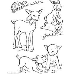 Página para colorir: Cordeiro (animais) #262 - Páginas para Colorir Imprimíveis Gratuitamente