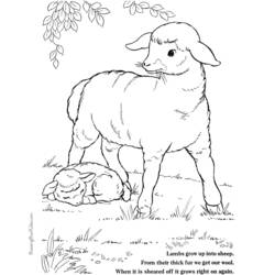 Página para colorir: Cordeiro (animais) #268 - Páginas para Colorir Imprimíveis Gratuitamente