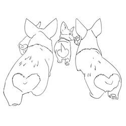 Corgi - Desenhos para colorir gratuitos