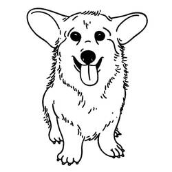 Desenho Corgi (Animais) #220760 para imprimir e colorir