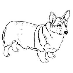 Desenho Corgi (Animais) #220767 para imprimir e colorir