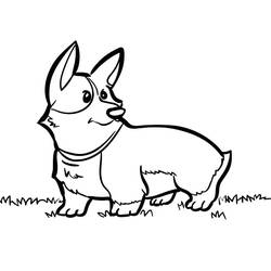 Desenho Corgi (Animais) #220777 para imprimir e colorir