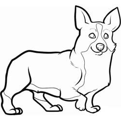 Desenho Corgi (Animais) #220784 para imprimir e colorir