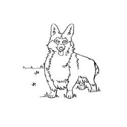 Desenho Corgi (Animais) #220791 para imprimir e colorir