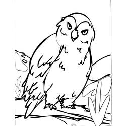 Página para colorir: Coruja (animais) #8467 - Páginas para Colorir Imprimíveis Gratuitamente