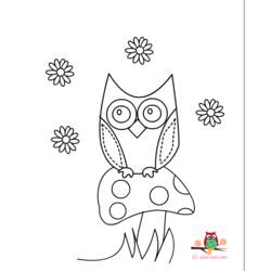 Página para colorir: Coruja (animais) #8530 - Páginas para Colorir Imprimíveis Gratuitamente