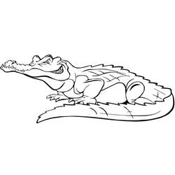 Desenho Crocodilo (Animais) #179017 para imprimir e colorir