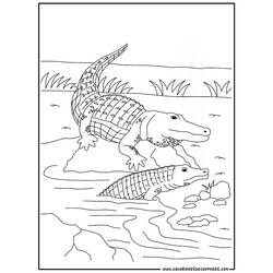 Página para colorir: Crocodilo (animais) #4794 - Páginas para Colorir Imprimíveis Gratuitamente