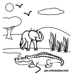 Página para colorir: Crocodilo (animais) #4796 - Páginas para colorir imprimíveis