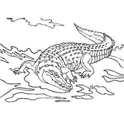 Página para colorir: Crocodilo (animais) #4798 - Páginas para colorir imprimíveis