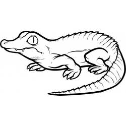 Página para colorir: Crocodilo (animais) #4812 - Páginas para colorir imprimíveis