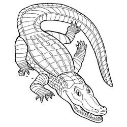 Página para colorir: Crocodilo (animais) #4817 - Páginas para colorir imprimíveis