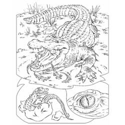 Página para colorir: Crocodilo (animais) #4820 - Páginas para Colorir Imprimíveis Gratuitamente