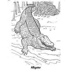 Página para colorir: Crocodilo (animais) #4825 - Páginas para colorir imprimíveis