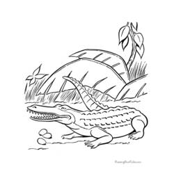 Página para colorir: Crocodilo (animais) #4827 - Páginas para Colorir Imprimíveis Gratuitamente