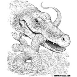 Página para colorir: Crocodilo (animais) #4854 - Páginas para colorir imprimíveis
