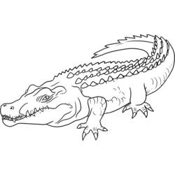 Página para colorir: Crocodilo (animais) #4890 - Páginas para colorir imprimíveis