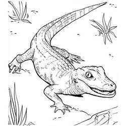 Página para colorir: Crocodilo (animais) #4903 - Páginas para colorir imprimíveis