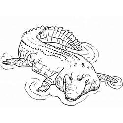 Página para colorir: Crocodilo (animais) #4910 - Páginas para colorir imprimíveis