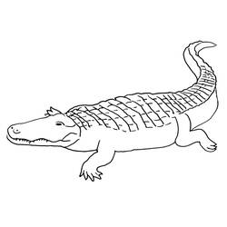 Página para colorir: Crocodilo (animais) #4950 - Páginas para colorir imprimíveis