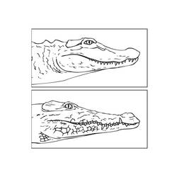 Página para colorir: Crocodilo (animais) #4978 - Páginas para Colorir Imprimíveis Gratuitamente