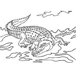 Página para colorir: Crocodilo (animais) #4984 - Páginas para colorir imprimíveis