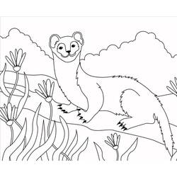 Página para colorir: Doninha (Animais) #205427 - Páginas para Colorir Imprimíveis Gratuitamente