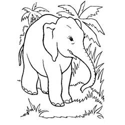 Desenho Elefante (Animais) #175067 para imprimir e colorir