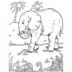 Desenho Elefante (Animais) #175072 para imprimir e colorir