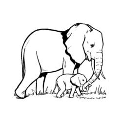 Página para colorir: Elefante (animais) #6300 - Páginas para Colorir Imprimíveis Gratuitamente