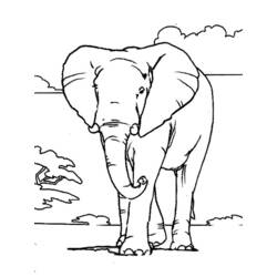 Página para colorir: Elefante (animais) #6301 - Páginas para Colorir Imprimíveis Gratuitamente