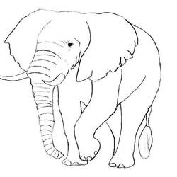 Página para colorir: Elefante (animais) #6316 - Páginas para Colorir Imprimíveis Gratuitamente