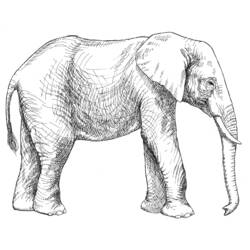 Página para colorir: Elefante (animais) #6366 - Páginas para Colorir Imprimíveis Gratuitamente