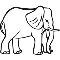 Página para colorir: Elefante (animais) #6401 - Páginas para Colorir Imprimíveis Gratuitamente