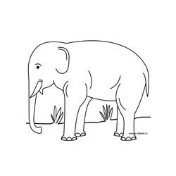 Página para colorir: Elefante (animais) #6440 - Páginas para Colorir Imprimíveis Gratuitamente