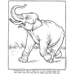 Página para colorir: Elefante (animais) #6442 - Páginas para Colorir Imprimíveis Gratuitamente