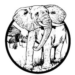 Página para colorir: Elefante (animais) #6485 - Páginas para Colorir Imprimíveis Gratuitamente