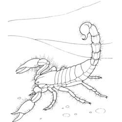 Página para colorir: Escorpião (animais) #14553 - Páginas para Colorir Imprimíveis Gratuitamente